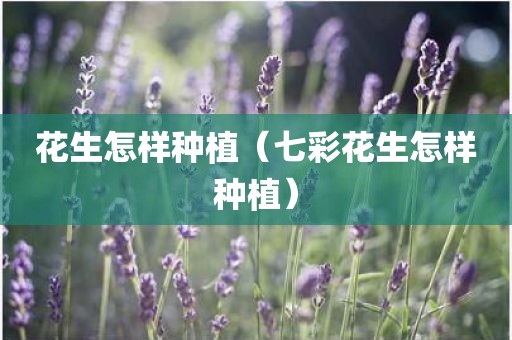 花生怎样种植（七彩花生怎样种植）