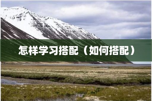 怎样学习搭配（如何搭配）