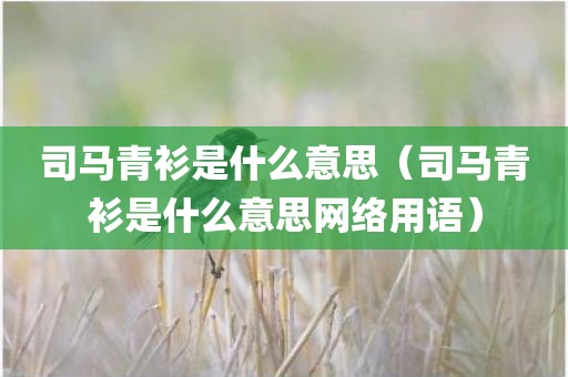 司马青衫是什么意思（司马青衫是什么意思网络用语）