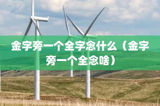 金字旁一个全字念什么（金字旁一个全念啥）