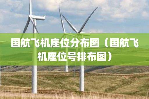 国航飞机座位分布图(国航飞机座位号排布图)