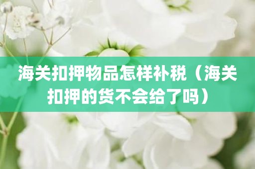 海关扣押物品怎样补税（海关扣押的货不会给了吗）