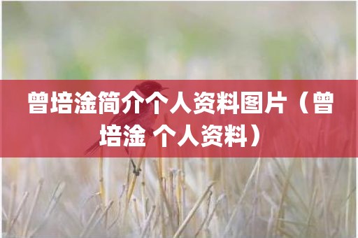 曾培淦简介个人资料图片（曾培淦 个人资料）