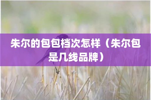 朱尔的包包档次怎样（朱尔包是几线品牌）