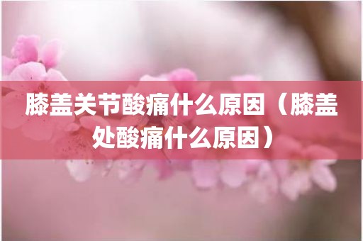 膝盖关节酸痛什么原因（膝盖处酸痛什么原因）