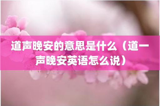 道声晚安的意思是什么（道一声晚安英语怎么说）