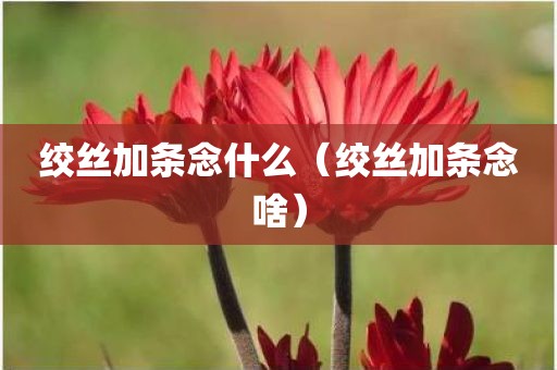 绞丝加条念什么（绞丝加条念啥）