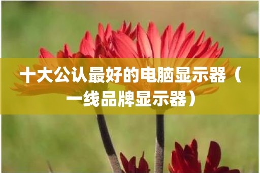 十大公认最好的电脑显示器（一线品牌显示器）