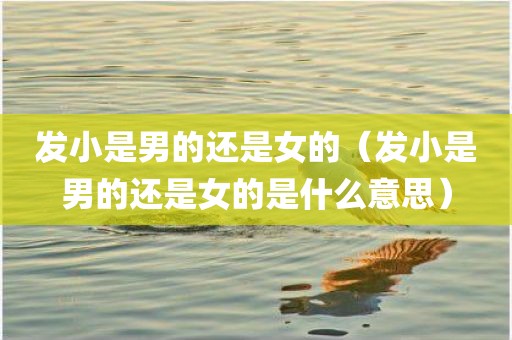 发小是男的还是女的（发小是男的还是女的是什么意思）