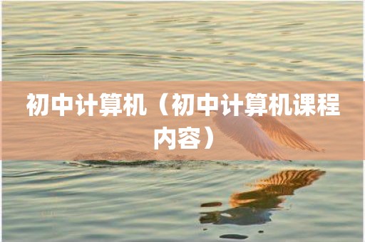初中计算机（初中计算机课程内容）