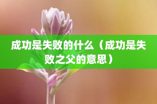 成功是失败的什么(成功是失败之父的意思)
