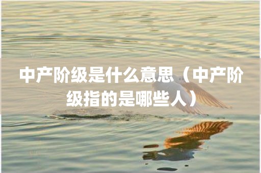 中产阶级是什么意思（中产阶级指的是哪些人）