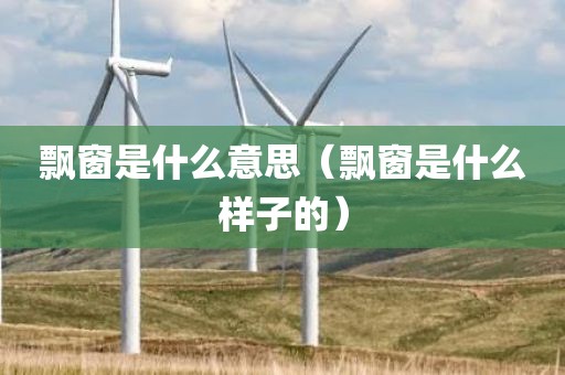 飘窗是什么意思（飘窗是什么样子的）