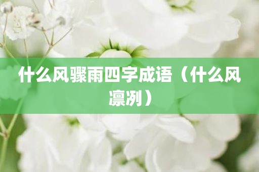 什么风骤雨四字成语（什么风凛冽）