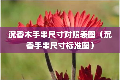 沉香木手串尺寸对照表图（沉香手串尺寸标准图）