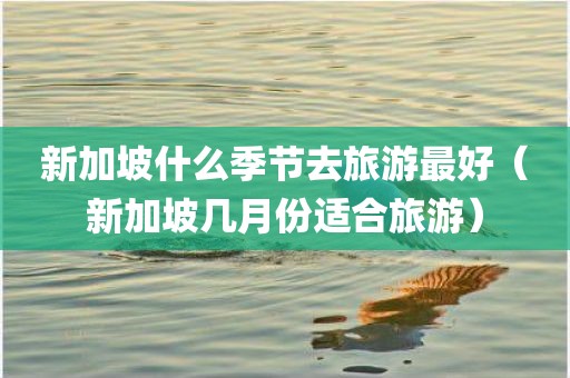 新加坡什么季节去旅游最好(新加坡几月份适合旅游)