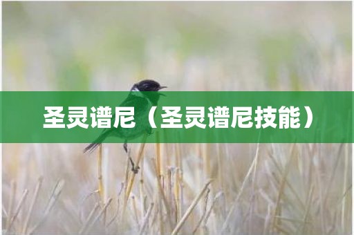 圣灵谱尼（圣灵谱尼技能）