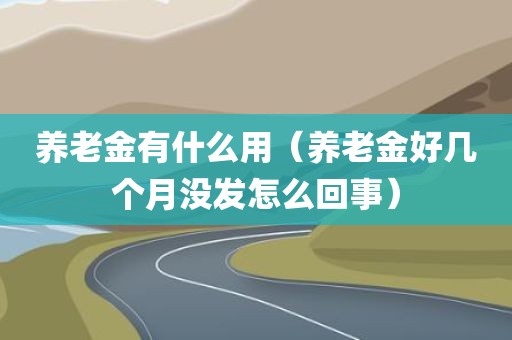 养老金有什么用（养老金好几个月没发怎么回事）