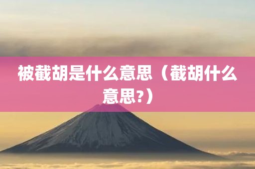 被截胡是什么意思（截胡什么意思?）