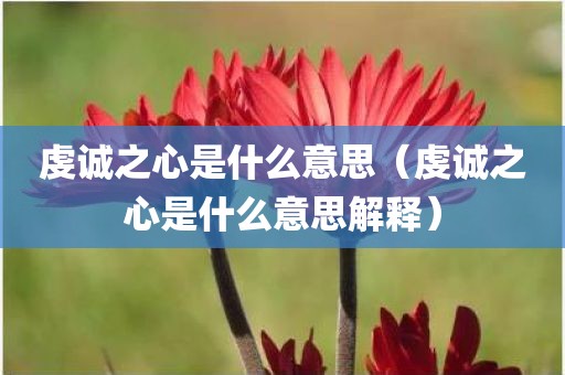 虔诚之心是什么意思（虔诚之心是什么意思解释）