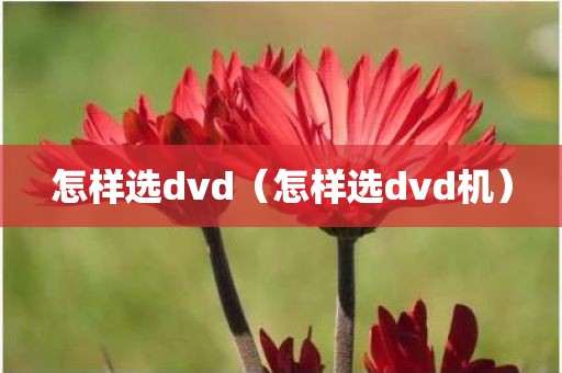 怎样选dvd（怎样选dvd机）