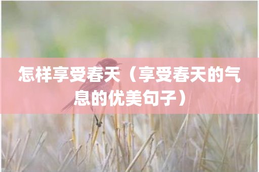 怎样享受春天（享受春天的气息的优美句子）