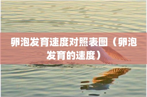 卵泡发育速度对照表图（卵泡发育的速度）
