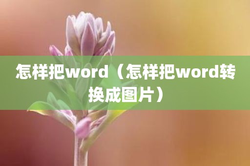 怎样把word（怎样把word转换成图片）