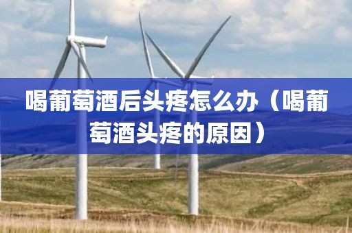 喝葡萄酒后头疼怎么办（喝葡萄酒头疼的原因）