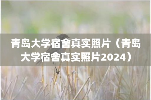 青岛大学宿舍真实照片（青岛大学宿舍真实照片2024）
