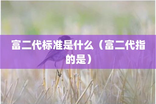 富二代标准是什么（富二代指的是）