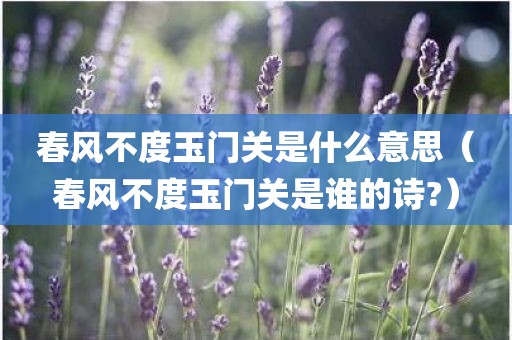 春风不度玉门关是什么意思（春风不度玉门关是谁的诗?）