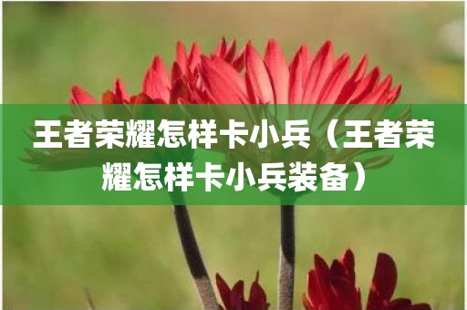 王者荣耀怎样卡小兵（王者荣耀怎样卡小兵装备）