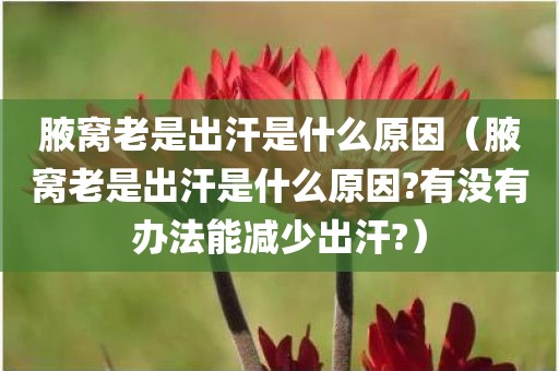 腋窝老是出汗是什么原因（腋窝老是出汗是什么原因?有没有办法能减少出汗?）