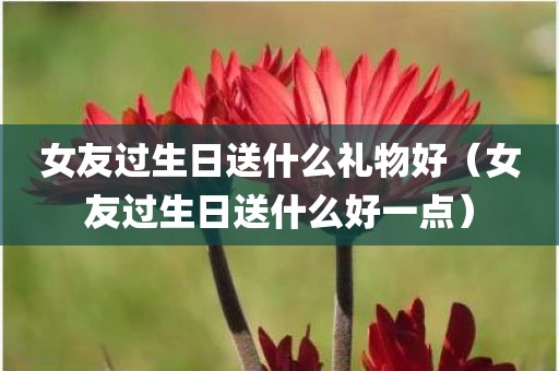 女友过生日送什么礼物好(女友过生日送什么好一点)