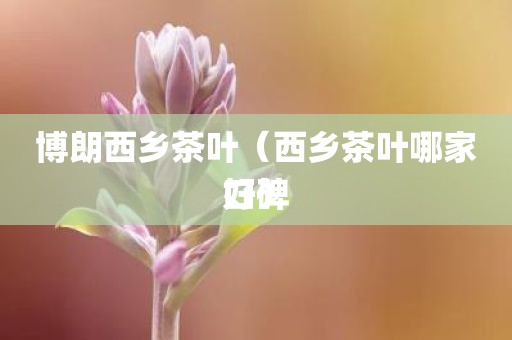 博朗西乡茶叶（西乡茶叶哪家口碑好）