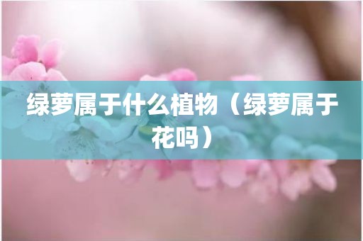 绿萝属于什么植物（绿萝属于花吗）
