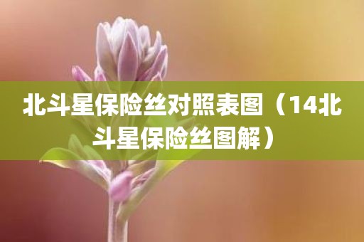 北斗星保险丝对照表图（14北斗星保险丝图解）