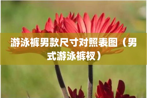 游泳裤男款尺寸对照表图（男式游泳裤衩）