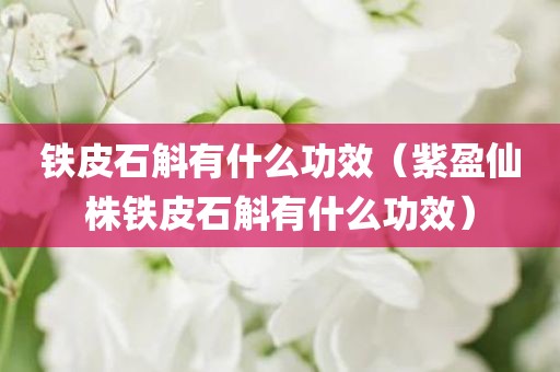 铁皮石斛有什么功效（紫盈仙株铁皮石斛有什么功效）