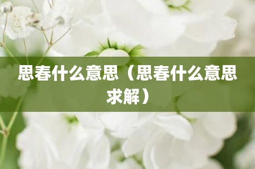 思春什么意思（思春什么意思求解）