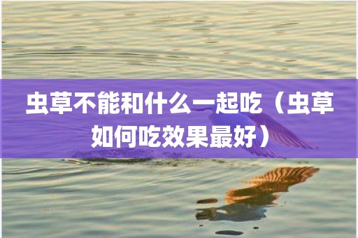 虫草不能和什么一起吃（虫草如何吃效果最好）