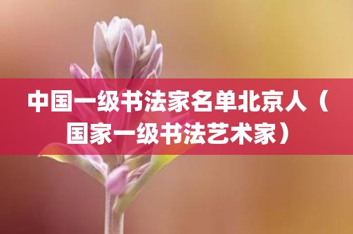 中国一级书法家名单北京人（国家一级书法艺术家）