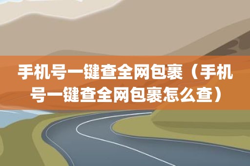 手机号一键查全网包裹(手机号一键查全网包裹怎么查)