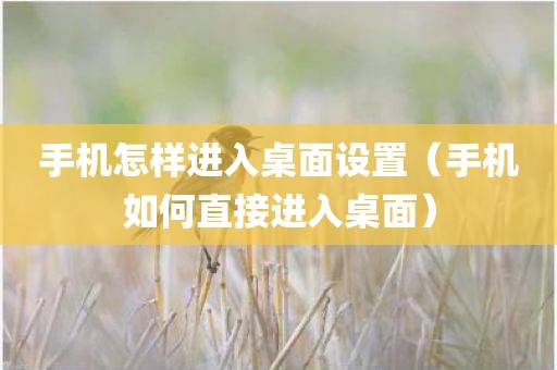 手机怎样进入桌面设置(手机如何直接进入桌面)
