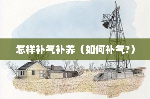 怎样补气补养（如何补气?）