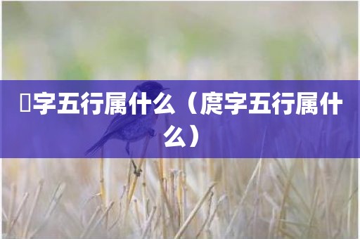 宬字五行属什么（庹字五行属什么）