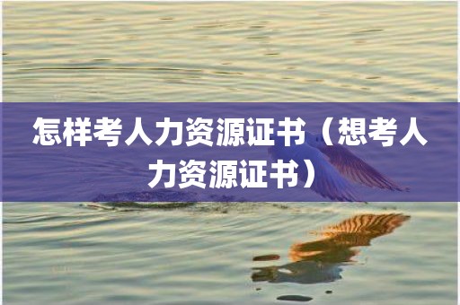 怎样考人力资源证书（想考人力资源证书）