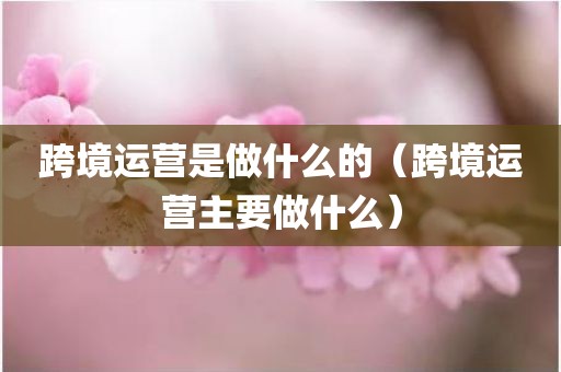 跨境运营是做什么的（跨境运营主要做什么）