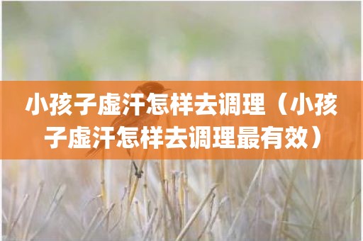 小孩子虚汗怎样去调理（小孩子虚汗怎样去调理最有效）